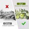 6Ft Eucalyptus Garland, Upgrade Bushy Artificial lvy Greenery Vines with Flower Gypsophila Willow Leaves for Home Wedding Party Table Runner Centerpiece Decor